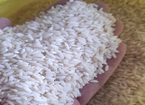 خرید و قیمت برنج عنبر بو اهواز + فروش عمده